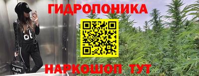 МДМА Заводоуковск