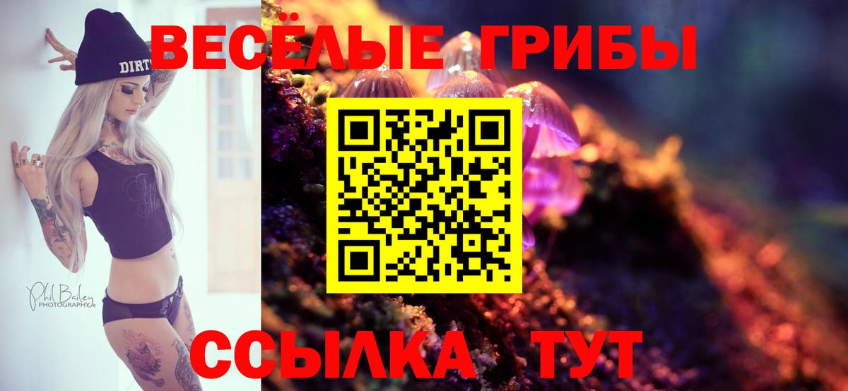 купить закладку  Вход с VPN  Лениногорск  Псилоцибиновые грибы Psilocybine cubensis 